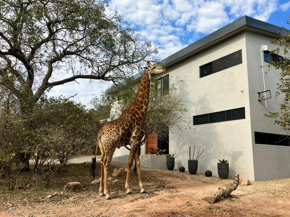 Birdsong Kruger Villa Marloth Park Buitenkant foto